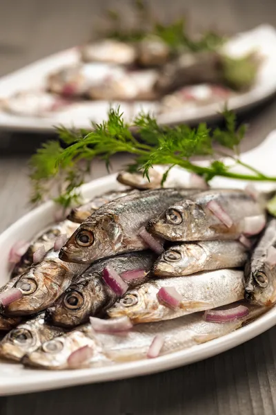 Espadín aperitivo de mariscos — Foto de Stock