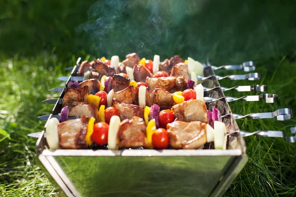 Fazendo carne grelhada em paus (shashlyk ) — Fotografia de Stock