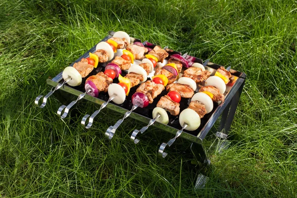 sopa (shashlyk üzerinde yapma ızgara et)