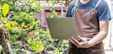 Erkek bahçıvan, bitkilerle çevrili bir projede dizüstü bilgisayarla çalışıyor. Sıcaklık kontrolünü izlemek için bir dizüstü bilgisayar kullanın, ve ağaçtaki yaprak büyüme kalitesini kaydedin, ev işleri, serbest bahçe işleri.
