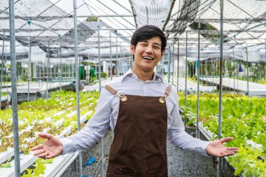 Gülümseyen Asyalı çiftçi organik sebze çiftliğinde çalışıyor. Başarılı erkek hidroponik salata sebze sahibi sağlıklı yiyecekler için serada duruyor. Küçük işletme