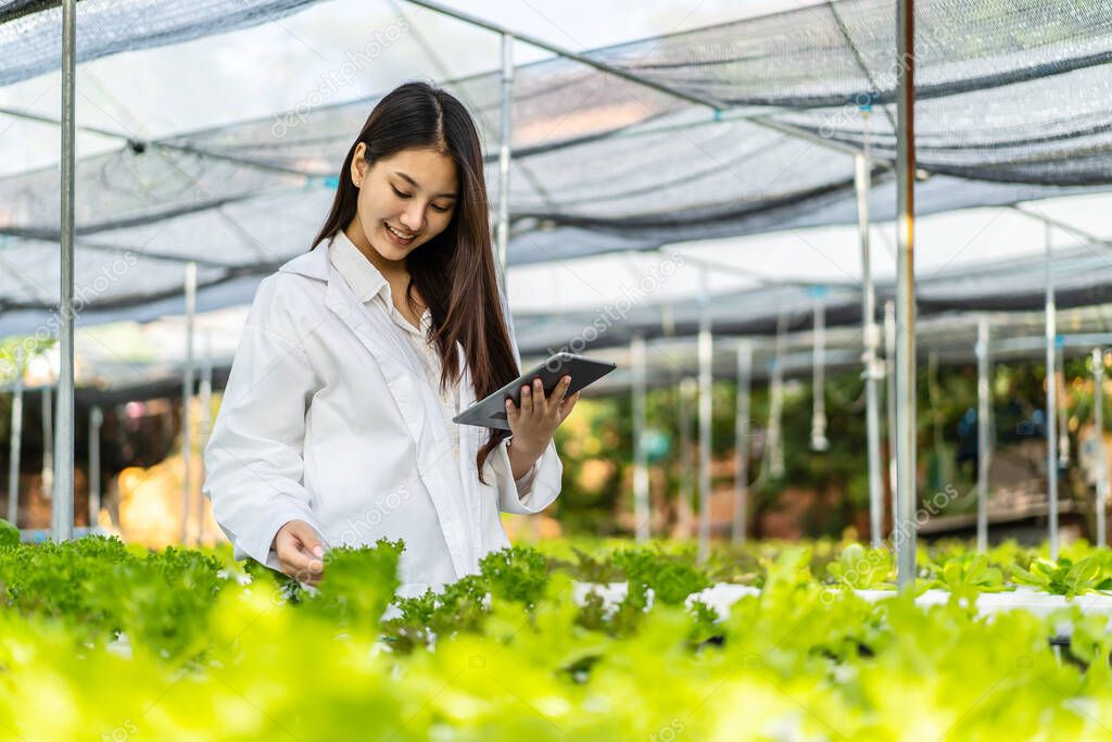 Asian scientist woman examined the quality of vegetable organic salad and lettuce from the farmer's hydroponic farm by writing down the information on the tablet, industry of agriculture