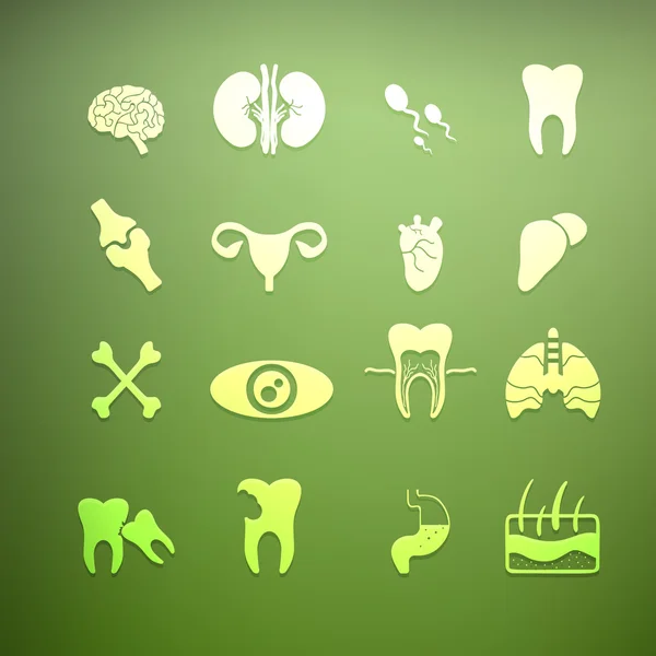 Iconos de Retina Vector humano interno — Vector de stock