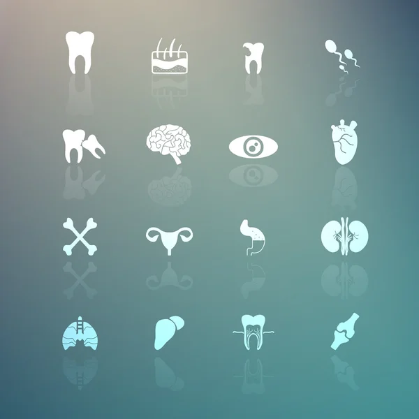Body Icons  set on Retina background — Stock Vector