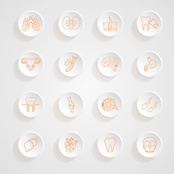 Ensemble vectoriel de contour des ombres à boutons internes des icônes humaines v — Image vectorielle