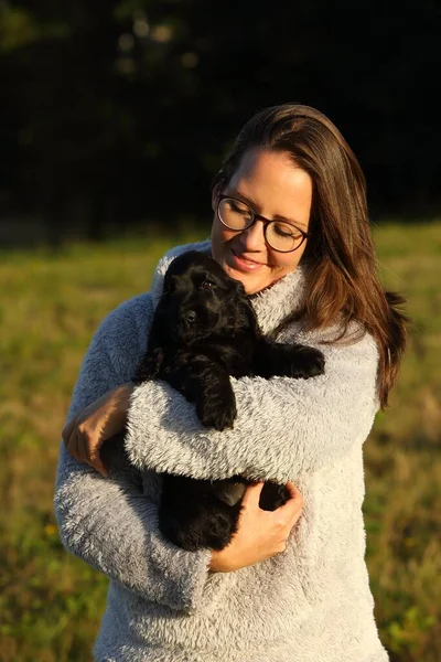 İnanılmaz, yeni doğmuş ve şirin kırmızı İngiliz Cocker Spaniel köpek yavrusu detayı. Küçük ve şirin siyah Cocker Spaniel köpek yavrusu insan kucağında, sabah güneşi. Yeşil arkaplan.