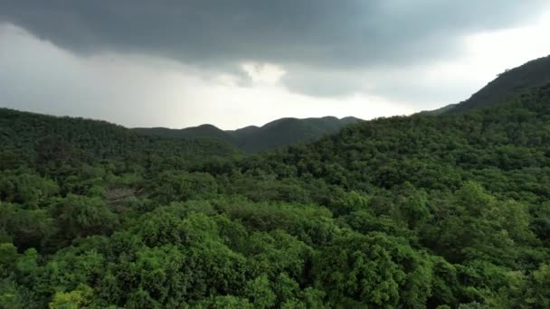 Vista Desde Drone Montaña Cascada Día Lluvioso Después Gran Tormenta — Vídeo de stock