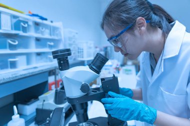 Laboratuvarda çalışan Asyalı bilim adamı, mikroskopi yoluyla koronavirüsün yeni türlerini önlüyor ve yok ediyor.
