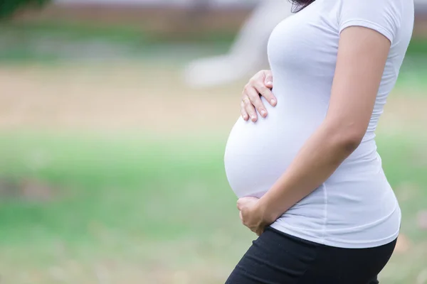 Close Van Aziatische Zwangere Vrouw Het Park — Stockfoto