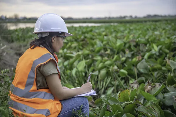 Umweltingenieur Arbeitet Einer Wasserspeicheranlage Und Überprüft Den Wert Des Wassers — Stockfoto