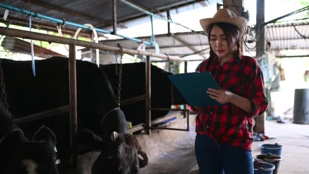 Aziatische Vrouwelijke Boer Werkt Het Platteland Melkveebedrijf Buiten Stad Jongeren — Stockvideo