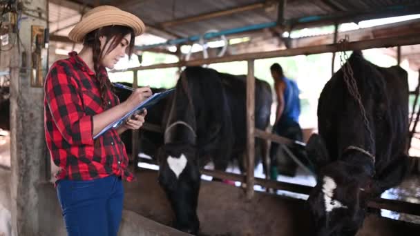 Asijské Ženy Zemědělec Pracující Venkově Mléčné Farmě Mimo Město Mladí — Stock video