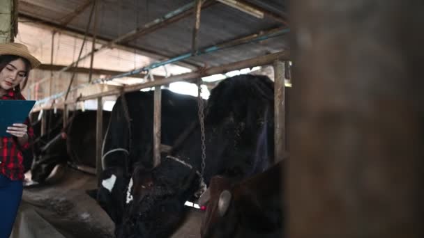 Asiatiska Bönder Arbetar Lantlig Mjölkgård Utanför Staden Ungdomar Med Kor — Stockvideo