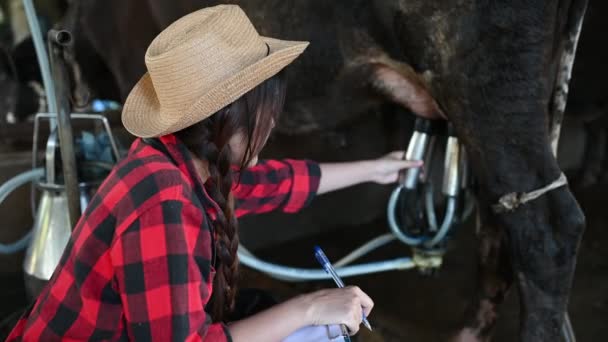 Agricultrice Asiatique Travaillant Dans Une Ferme Laitière Rurale Dehors Ville — Video