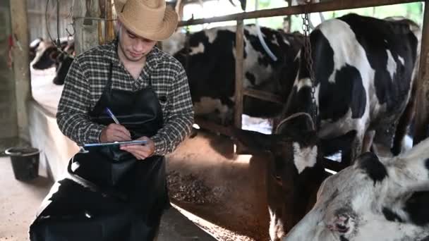 Agricultor Asiático Trabalhando Fazenda Rural Laticínios Fora Cidade Jovens Com — Vídeo de Stock