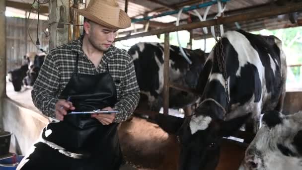 Aziatische Boer Werkt Landelijke Melkveehouderij Buiten Stad Jongeren Met Koeien — Stockvideo