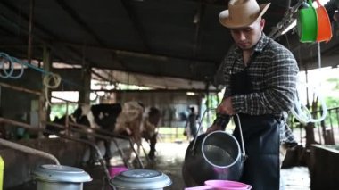 Şehrin dışındaki kırsal süt çiftliğinde çalışan Asyalı çiftçi, inekli gençler