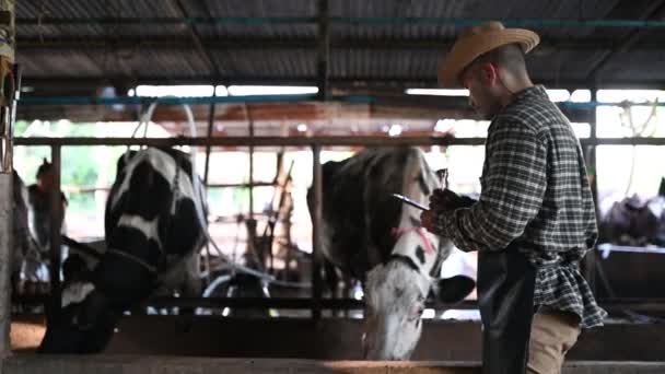 Asiatischer Bauer Der Einem Ländlichen Milchviehbetrieb Außerhalb Der Stadt Arbeitet — Stockvideo