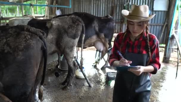 Agricultora Asiática Trabalhando Fazenda Rural Laticínios Fora Cidade Jovens Com — Vídeo de Stock