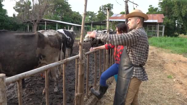 Asian Farmers Working Rural Dairy Farm City Young People Cows — Stock Video