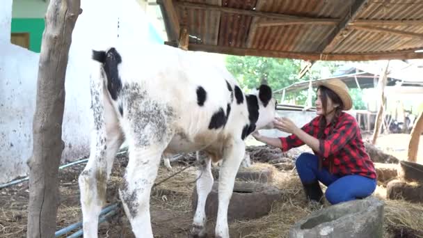 Agricultrice Asiatique Travaillant Dans Une Ferme Laitière Rurale Dehors Ville — Video