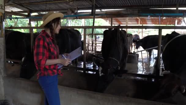 Asian Female Farmer Working Rural Dairy Farm City Young People — Stock Video