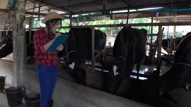 Agricultora Asiática Trabalhando Fazenda Rural Laticínios Fora Cidade Jovens Com — Vídeo de Stock