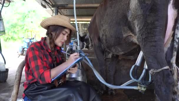 Agricultora Asiática Trabalhando Fazenda Rural Laticínios Fora Cidade Jovens Com — Vídeo de Stock