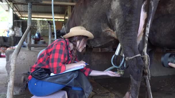 Asian Farmers Work Rural Dairy Farm City Young People Cow — Stock Video