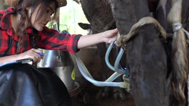 Ασιάτισσα Αγρότισσα Που Εργάζεται Στην Αγροτική Γαλακτοκομική Εκμετάλλευση Έξω Από — Αρχείο Βίντεο