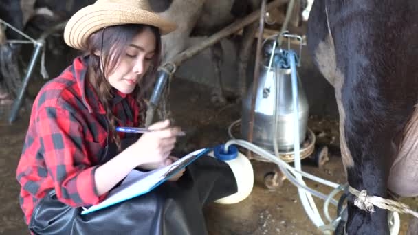 Azjatycki Rolnik Pracujący Wiejskich Gospodarstwach Mleczarskich Poza Miastem Młodzi Ludzie — Wideo stockowe