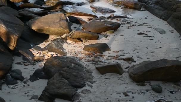 Beautiful Sea Coast Big Stones Horizon — Vídeos de Stock