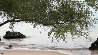 Deniz kıyısının güzel manzarası