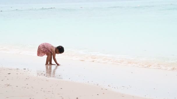 Bambina Che Gioca Sulla Costa Del Mare — Video Stock