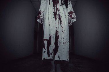 Asyalı kadın makyajı hayaleti, arka plan korku sahnesi, Cadılar Bayramı festivali konsepti, hayalet filmleri afişi, dairede kızgın ruh.