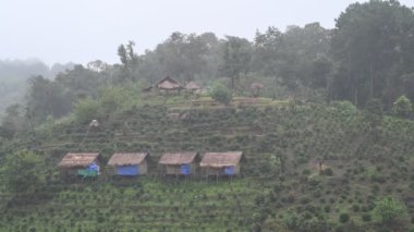 Tayland 'daki dağ tepelerindeki tarlalar.