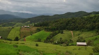 Chiangmai 'deki Ban pa pong piang pirinç terasları Tayland' daki en güzel pirinç teraslarıdır.