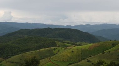 Chiangmai 'deki Ban pa pong piang pirinç terasları Tayland' daki en güzel pirinç teraslarıdır.