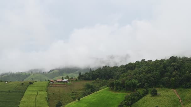 Ban Pong Piang Rice Terraces Chiangmai Most Beautiful Rice Terraces — Stock Video