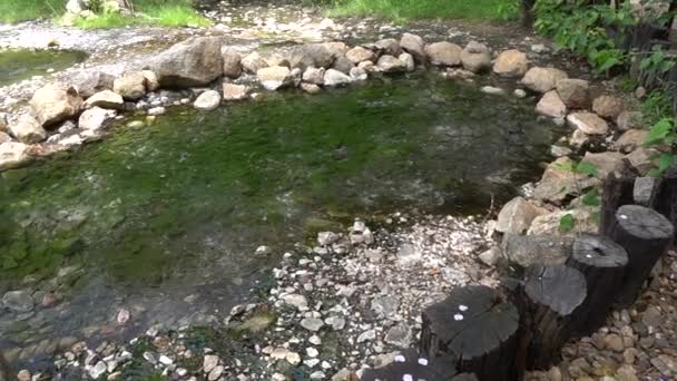 谷にある天然温泉 温泉でリラックスする場所 — ストック動画
