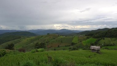 Chiangmai 'deki Ban pa pong piang pirinç terasları Tayland' daki en güzel pirinç teraslarıdır.