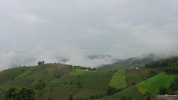 Ban Pong Piang Terrazze Riso Chiangmai Questa Più Bella Terrazze — Video Stock