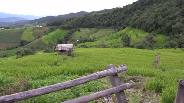 Ban Pong Piang Terrazze Riso Chiangmai Questa Più Bella Terrazze — Video Stock