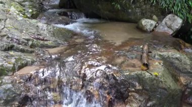 Chiang Mai vilayetindeki Mae Kampong köyünde şelale, Tayland