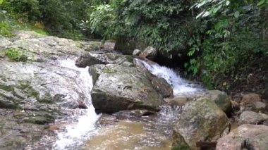 Chiang Mai vilayetindeki Mae Kampong köyünde şelale, Tayland