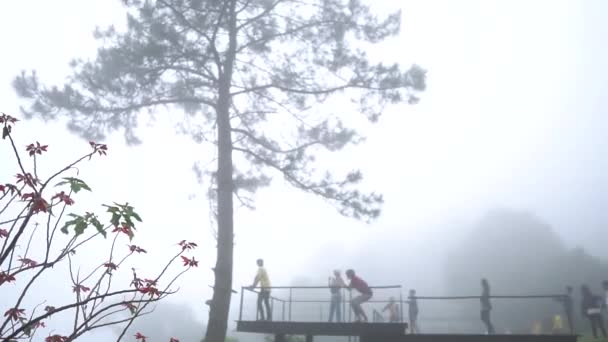 Vedere Munte Cel Mai Mare Nor Sezonul Ploios Cețos — Videoclip de stoc
