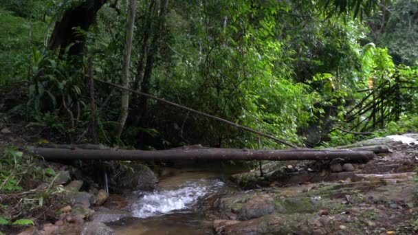 Waterfall Mae Kampong Village Chiang Mai Province Thailand — Stock Video