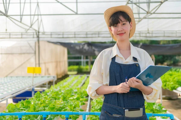 Asian Farmer Woman Working Salad Farm Female Asia Growing Vegetables — Stockfoto