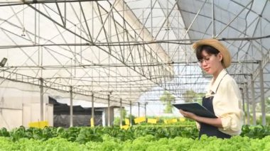 Asyalı çiftçi kadın salata çiftliğinde çalışıyor, kadın Asya taze pazarda toptan sebze yetiştiriyor.