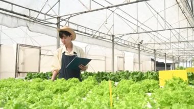 Asyalı çiftçi kadın salata çiftliğinde çalışıyor, kadın Asya taze pazarda toptan sebze yetiştiriyor.